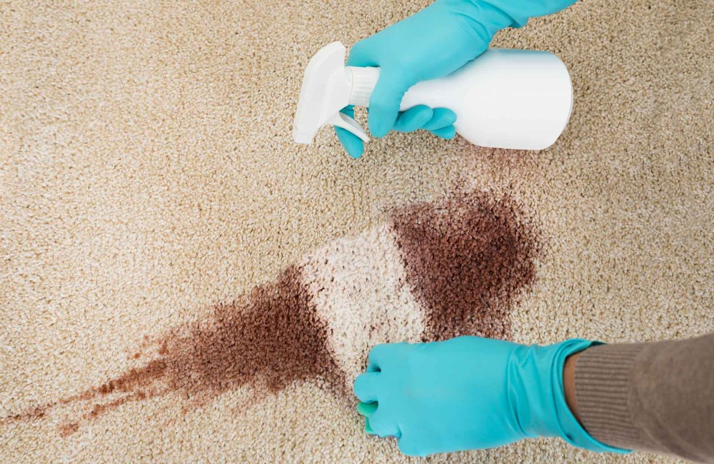 Ugly Stains with Our Professional Carpet Cleaning Service (1)
