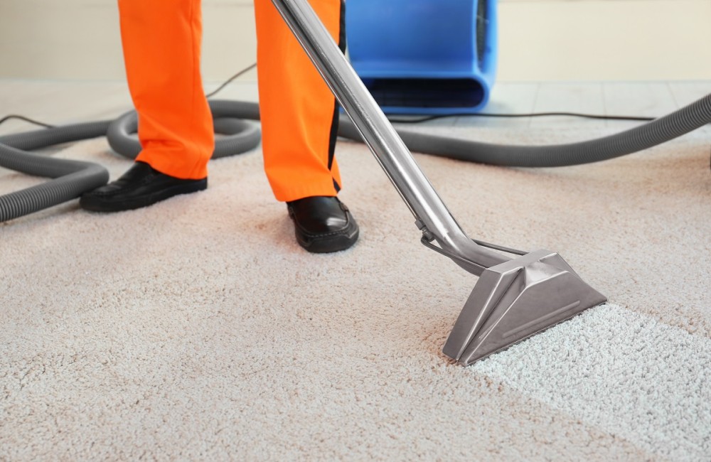 Wizard Difference for Carpet Cleaning in Melbourne (1)