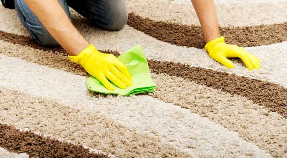 Carpet Cleaning Maintenance