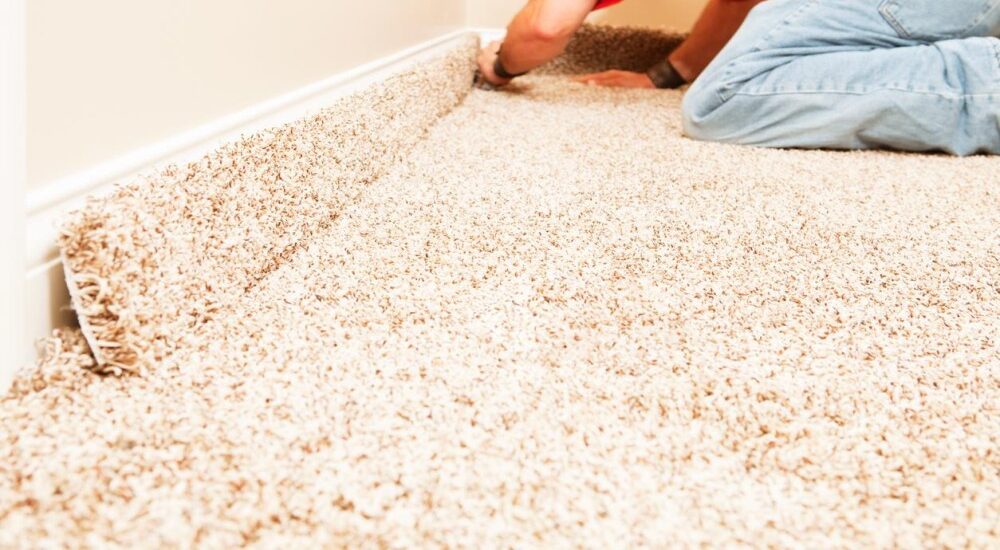 Removing Mould from Carpets